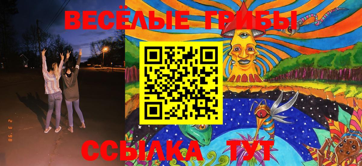 Псилоцибиновые грибы ЛСД Жуковский