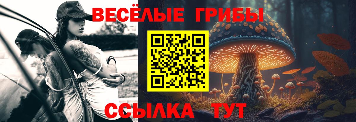 Жуковский  Псилоцибиновые грибы MAGIC MUSHROOMS  Псилоцибиновые грибы ЛСД  Вход с VPN 